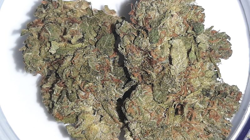 Weed price Prague. 
                    Chocolate Fondue Marijuana Strain