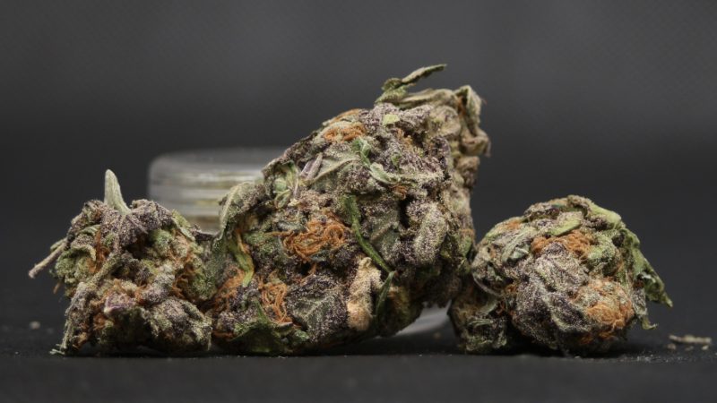 Weed price Prague. 
                    Purple Ice Marijuana Strain