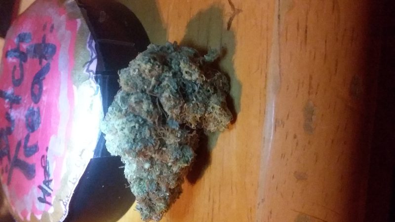 Weed price Prague. 
                    Dutch Treat Haze Marijuana Strain