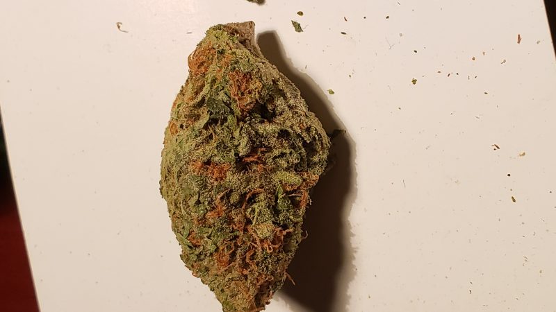 Weed price Prague. 
                    Rainbow Crush Marijuana Strain