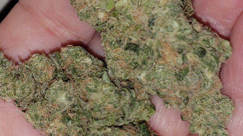 Weed price Prague. 
                    Super Blue Dream Marijuana Strain