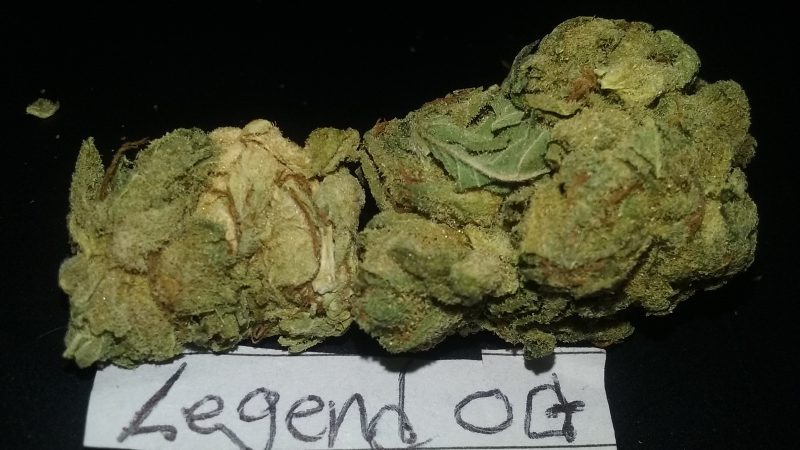 Weed price Prague. 
                    Legend OG Marijuana Strain