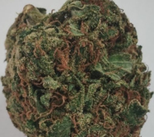 Weed price Prague. 
                    Sapphire Marijuana Strain