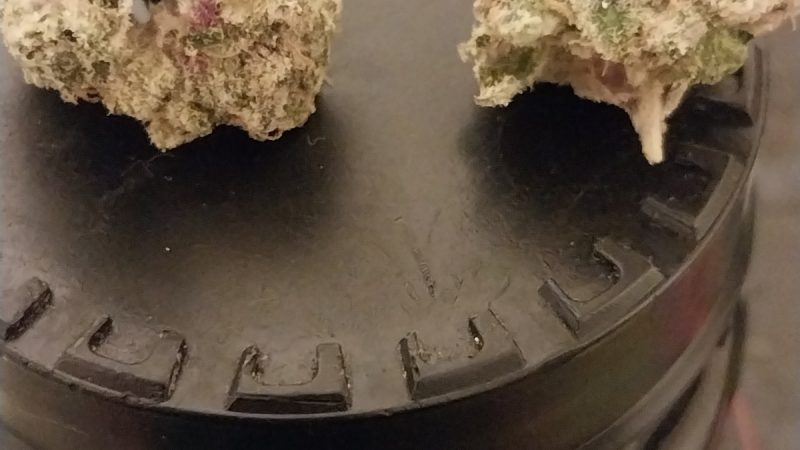 Weed price Prague. 
                    Point Break Marijuana Strain