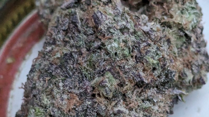 Weed price Prague. 
                    Strawberry Sour Diesel Marijuana Strain