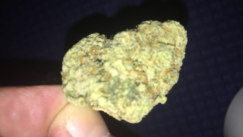 Weed price Prague. 
                    Blueberry Trainwreck Marijuana Strain