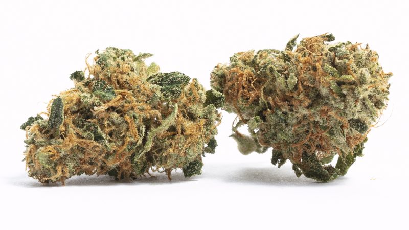 Weed price Prague. 
                    Chem Chillz Marijuana Strain