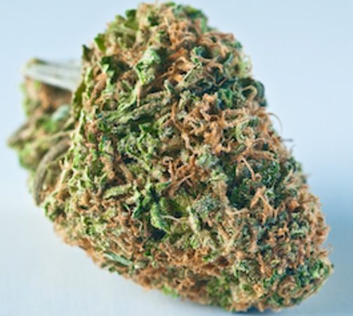 Weed price Prague. 
                    Star Ghaze Marijuana Strain