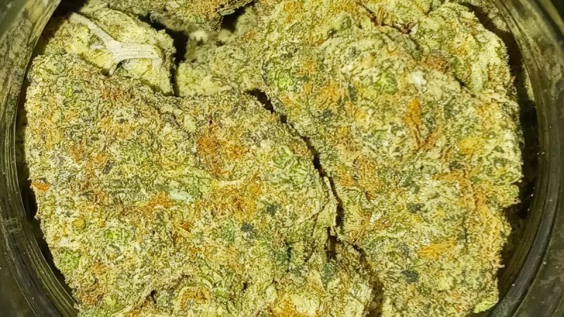 Weed price Prague. 
                    Cookies Breath Marijuana Strain