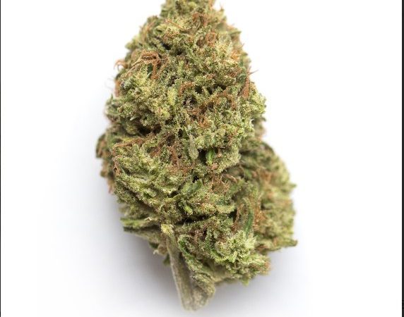 Weed price Prague. 
                    Johnny Quest Marijuana Strain