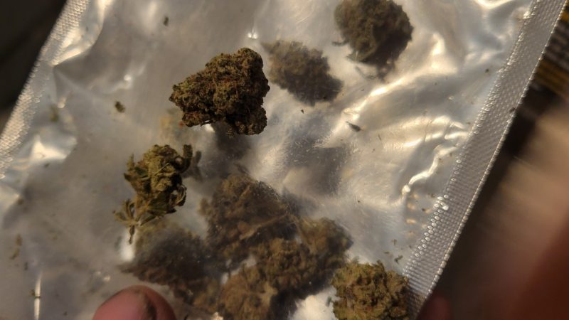 Weed price Prague. 
                    Coffee Haze Marijuana Strain