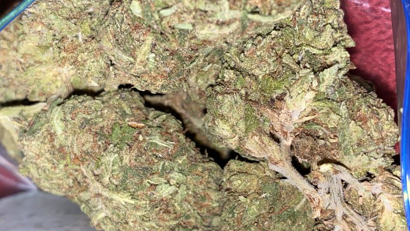 Weed price Prague. 
                    Fruit Salad Marijuana Strain