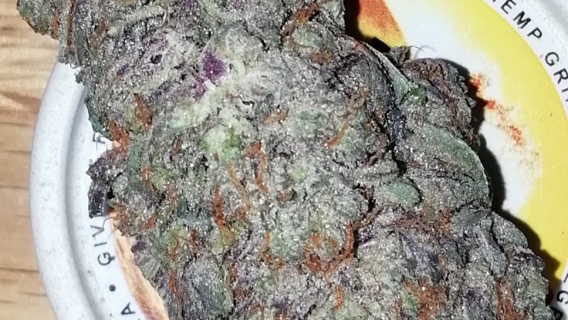 Weed price Prague. 
                    Beast Mode Skittles Marijuana Strain