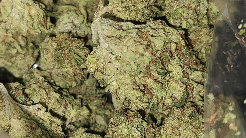 Weed price Prague. 
                    Cherry Cake Marijuana Strain