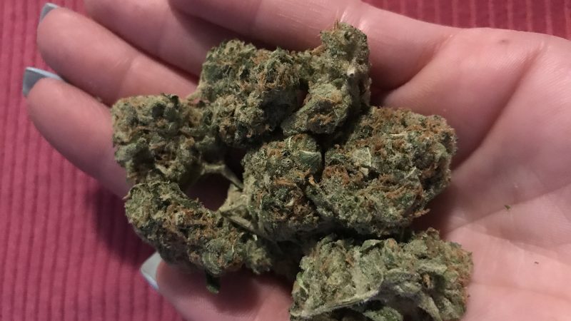 Weed price Prague. 
                    Hazy’s Dawg Marijuana Strain