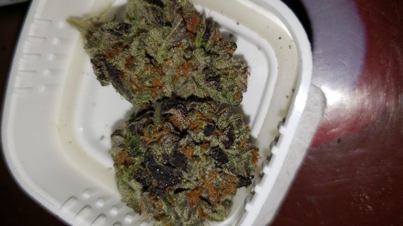 Weed price Prague. 
                    Training Day Marijuana Strain