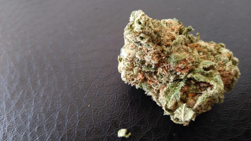 Weed price Prague. 
                    Apollo 11 Marijuana Strain