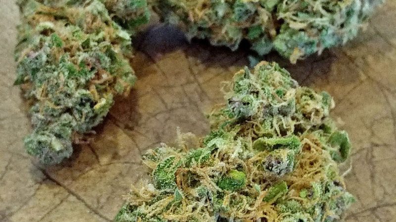 Weed price Prague. 
                    Mr. Pink Marijuana Strain
