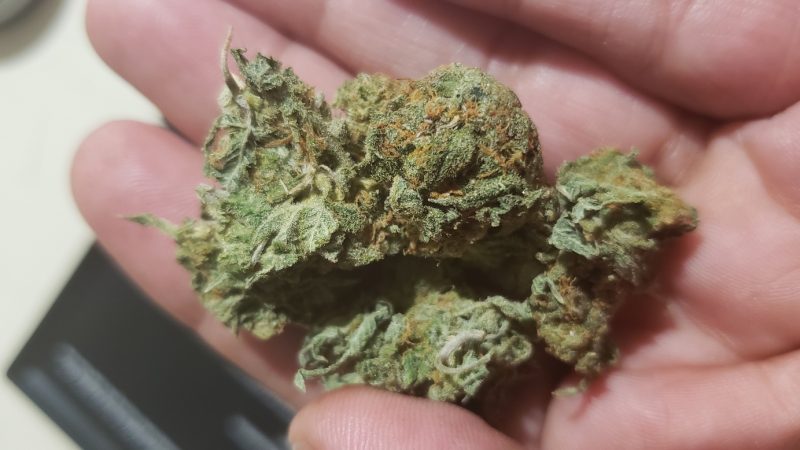 Weed price Prague. 
                    Bubble Kush Marijuana Strain