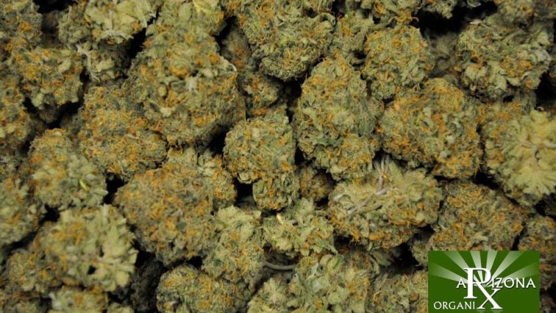 Weed price Prague. 
                    Somango Marijuana Strain