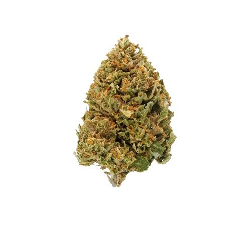 Weed price Prague. 
                    Sugar Glue Marijuana Strain