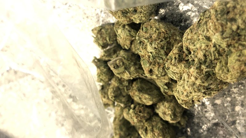Weed price Prague. 
                    MC OG Marijuana Strain