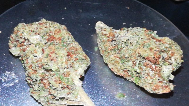 Weed price Prague. 
                    Venom OG Marijuana Strain