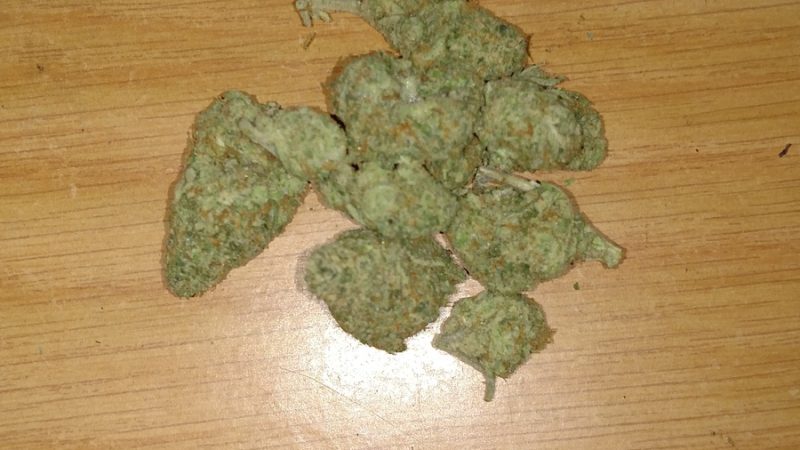 Weed price Prague. 
                    Nightmare Cookies Marijuana Strain