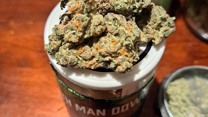 Weed price Prague. 
                    12th Man Down Marijuana Strain